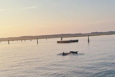 a large body of water
