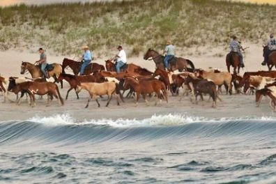 a group of people riding on the back of a horse