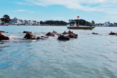 a group of people swimming in a body of water